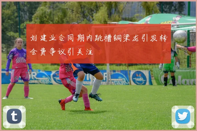 刘建业合同期内跳槽铜梁龙引发转会费争议引关注