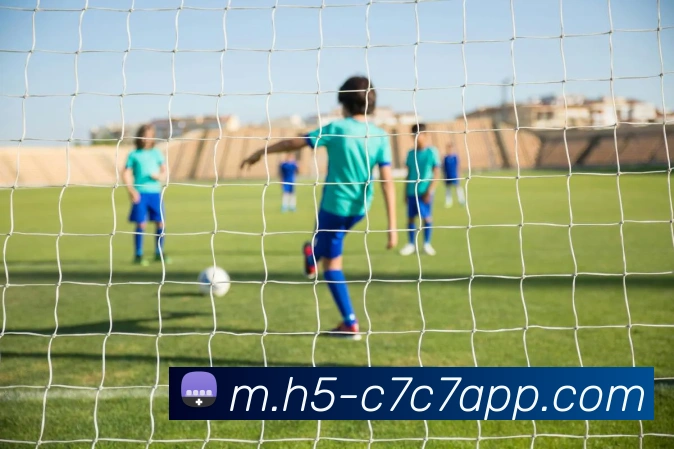 C7C7娱乐平台生态图